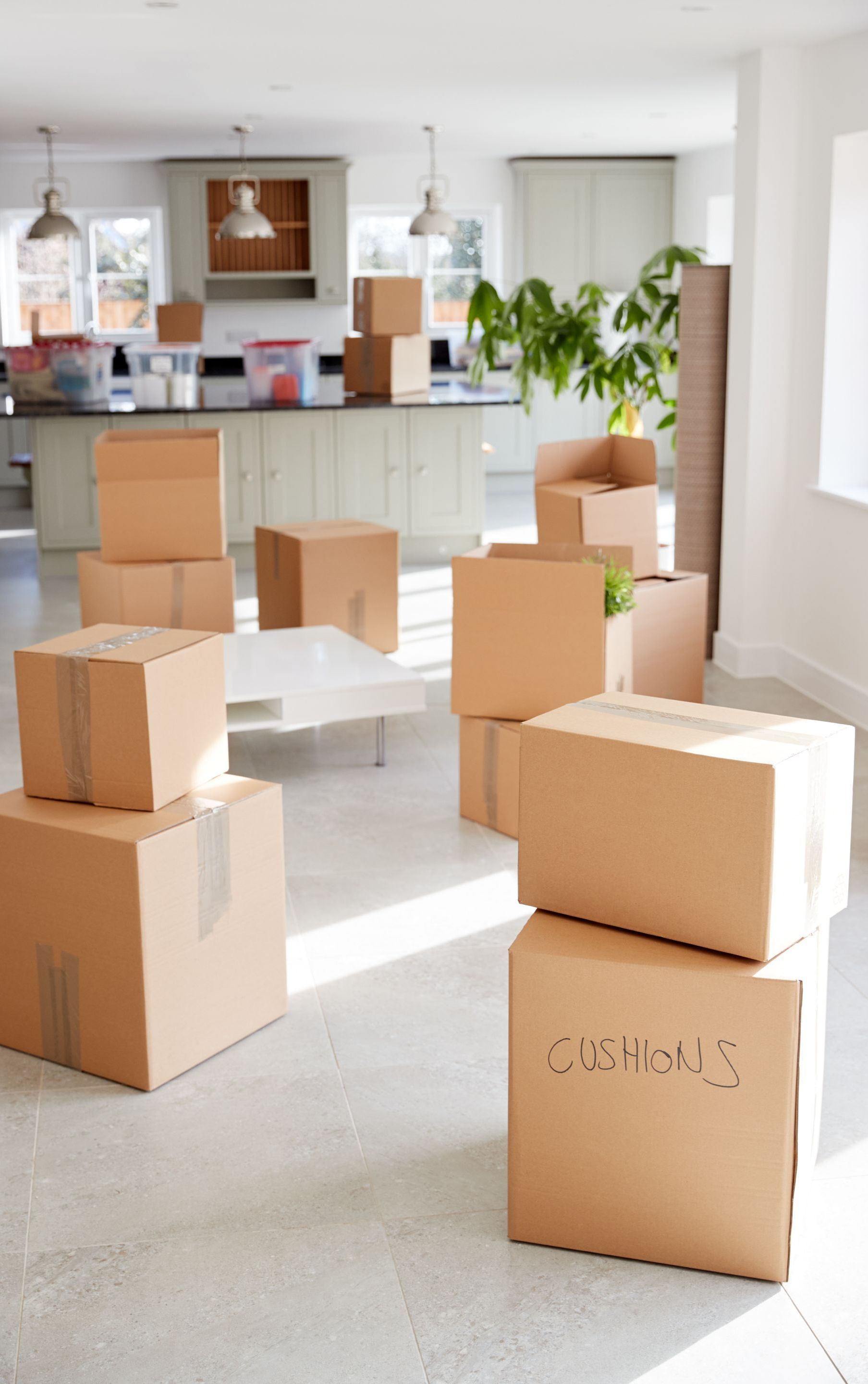 Stanford Moving and Hauling, Soquel CA, Santa Cruz CA, Seabright Santa Cruz CA, Twin Oaks CA, Pleasure Point CA, Capitola CA, Aptos CA, Seacliff CA, La Selva Beach CA, Scotts Valley CA, Felton CA, Lexington Hills CA, Los Gatos CA, San Jose CA, Mountain View CA, Marina CA, Seaside CA Monterey CA, Pacific Grove CA, Carmel-By-The-Sea CA, Movers, Movers Near Me, Soquel Movers, Santa Cruz Movers, Twin Oaks Movers, Pleasure Point Movers, Capitola Movers, Aptos Movers, Seacliff Movers, La Selva Beach Movers, Scotts Valley Movers, Felton Movers, Lexington Hills Movers, Los Gatos Movers, San Jose Movers, Mountain View Movers, Marina Movers, Seaside Movers, Monterey Movers, Pacific Grove Movers, Carmel-By-The-Sea Movers, Moving Company, Soquel Moving Company, Santa Cruz Moving Company, Twin Oaks Moving Company, Pleasure Point Moving Company, Capitola Moving Company, Aptos Moving Company, Seacliff Moving Company, La Selva Beach Moving Company, Scotts Valley Moving Company, Felton Moving Company, Lexington Hills Moving Company, Los Gatos Moving Company, San Jose Moving Company, Mountain View Moving Company, Marina Moving Company, Seaside Moving Company, Monterey Moving Company, Pacific Grove Moving Company, Carmel-By-The-Sea Moving Company, Residential Moving, Commercial Moving, Commercial Moving Company, Office Moving, Local Moving Company, Local Movers, Long Distance Moving, Long Distance Movers, How much does it cost to move, Moving Costs, Full Service Moves, House Movers, Apartment Movers, Office Movers, Packing Services, Wrapping Services, Furniture Moving, Transportation, Loading, Unloading, White Glove Moving Services, Moving Company for Stagers, Moving Company for Real Estate, Hauling, Hauling Near Me, Residential Hauling, Commercial Hauling, Soquel Hauling, Santa Cruz Hauling, Twin Oaks Hauling, Pleasure Point Hauling, Capitola Hauling, Aptos Hauling, Seacliff Hauling, La Selva Beach Hauling, Scotts Valley Hauling, Felton Hauling, Lexington Hills Hauling, Los Gatos Hauling, San Jose Hauling, Mountain View Hauling, Marina Hauling, Seaside Hauling, Monterey Hauling, Pacific Grove Hauling, Carmel-By-The-Sea Hauling, Hauling Appliances, Piano Hauling, Furniture Hauling, Construction Debris Hauling, Construction Clean Up, Landscape Debris Hauling, Project Management, Storage, Vault Storage, Vault Storage Unit, Vault Storage Near Me, Soquel Vault Storage, Santa Cruz Vault Storage, Twin Oaks Vault Storage, Pleasure Point Vault Storage, Capitola Vault Storage, Aptos Vault Storage, Seacliff Vault Storage, La Selva Beach Vault Storage, Scotts Valley Vault Storage, Felton Vault Storage, Lexington Hills Vault Storage, Los Gatos Vault Storage, San Jose Vault Storage, Mountain View Vault Storage, Marina Vault Storage, Seaside Vault Storage, Monterey Vault Storage, Pacific Grove Vault Storage, Carmel-By-The-Sea Vault Storage