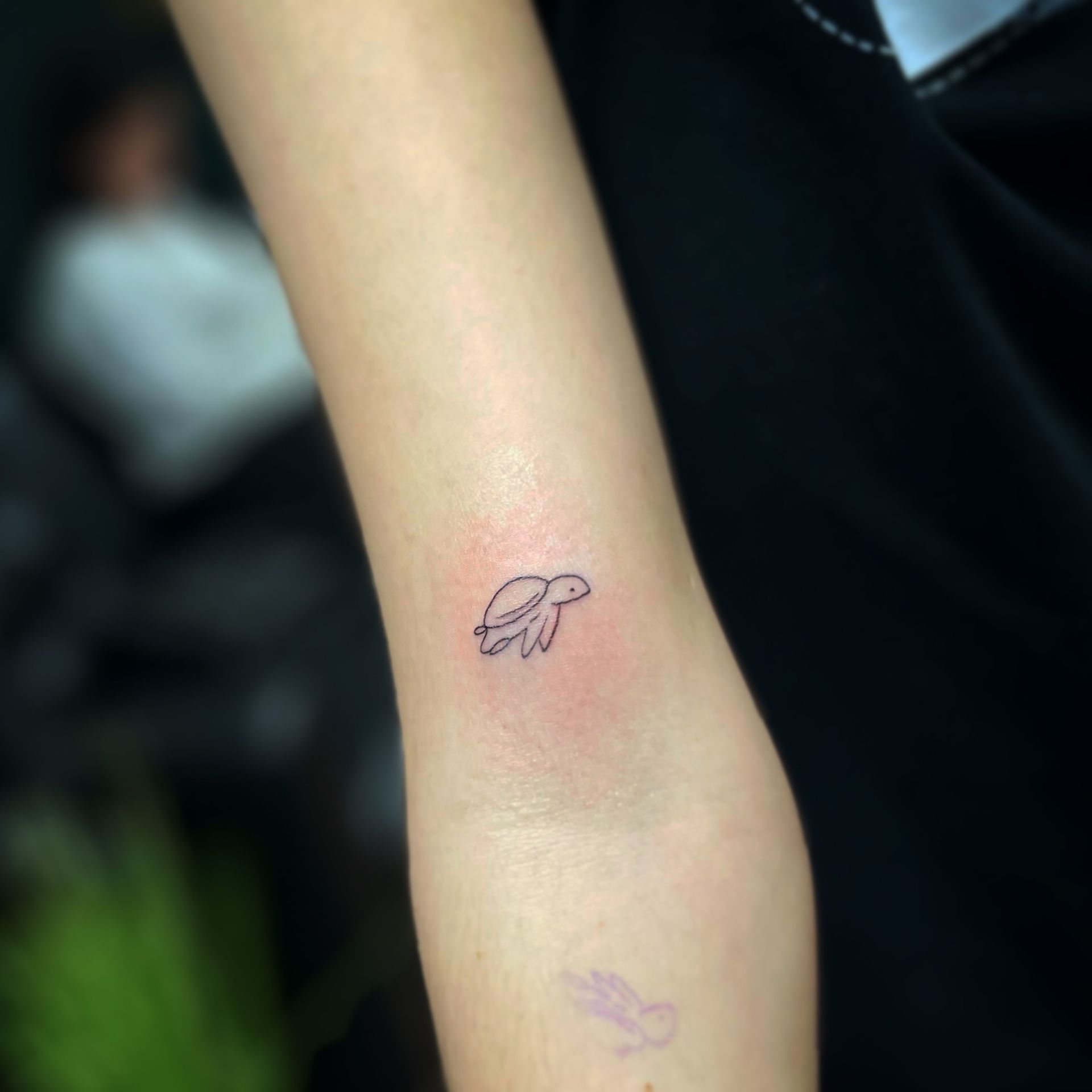 A small, simple fine-line tattoo of a sea turtle on a person's inner forearm, showing slight redness around the design.