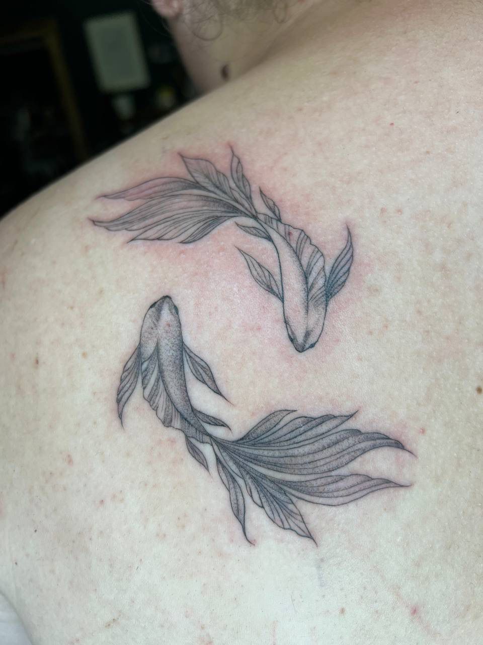 A fine-line tattoo on a person's shoulder featuring two koi fish swimming in a circular, yin-yang inspired formation.