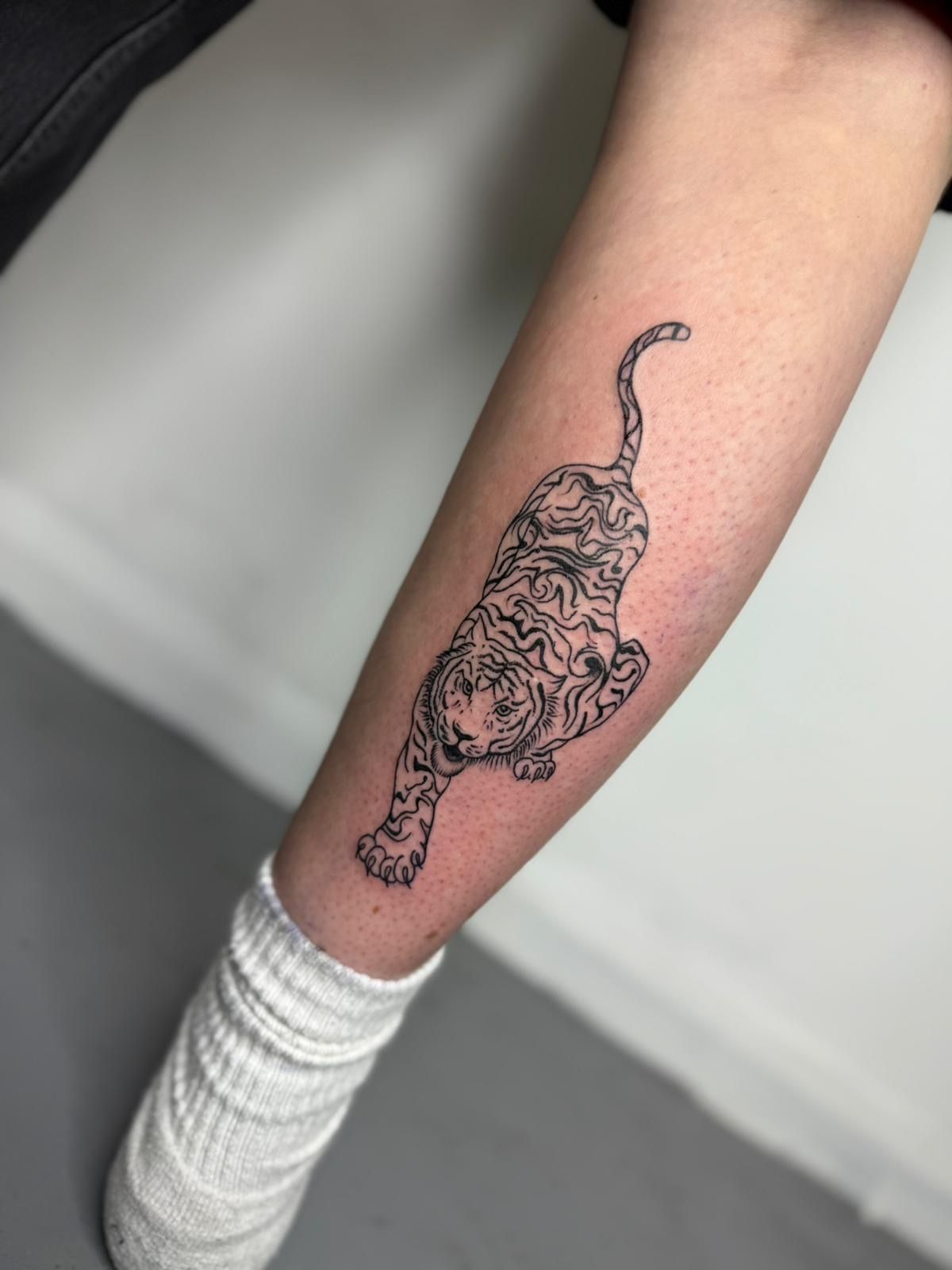 A black-line tattoo of a prowling tiger on a person's lower leg, positioned above a white sock.