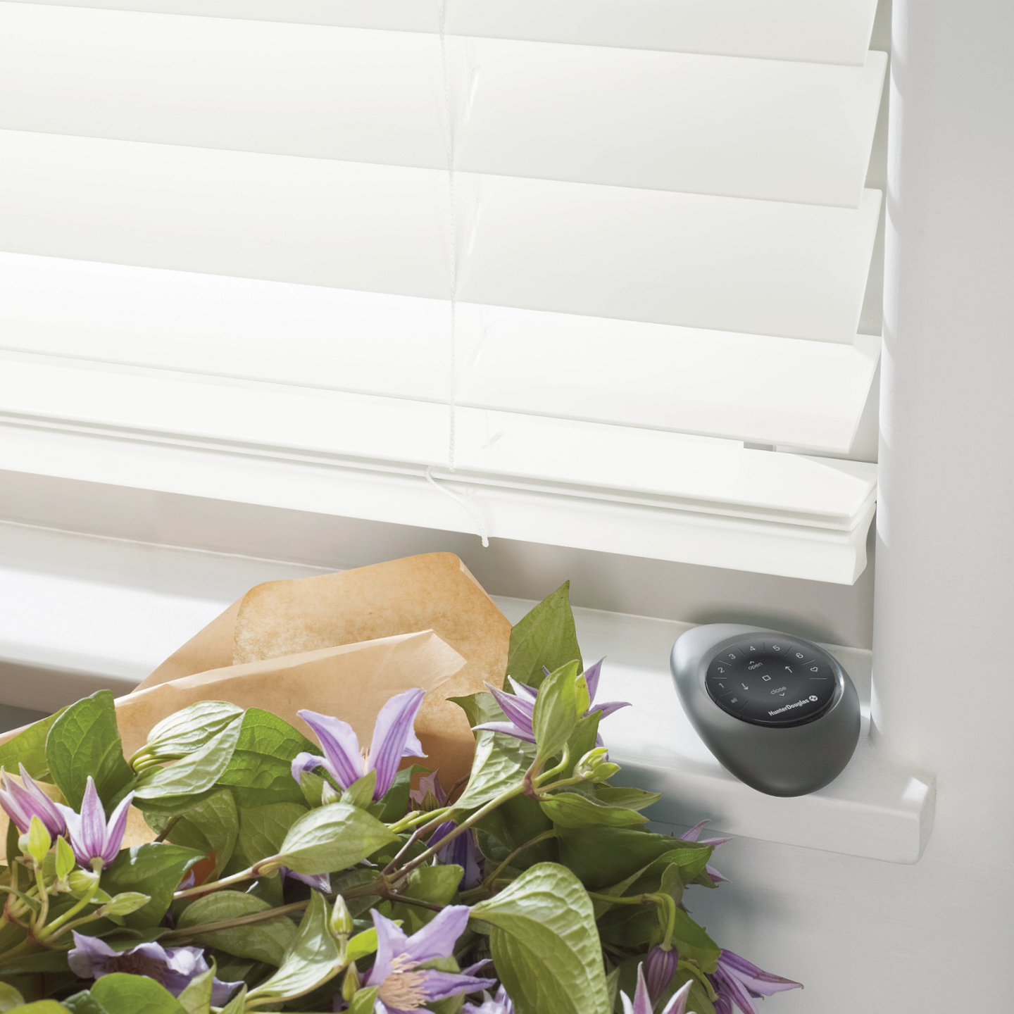 Hunter Douglas Pebble® Remote for PowerView® Automation