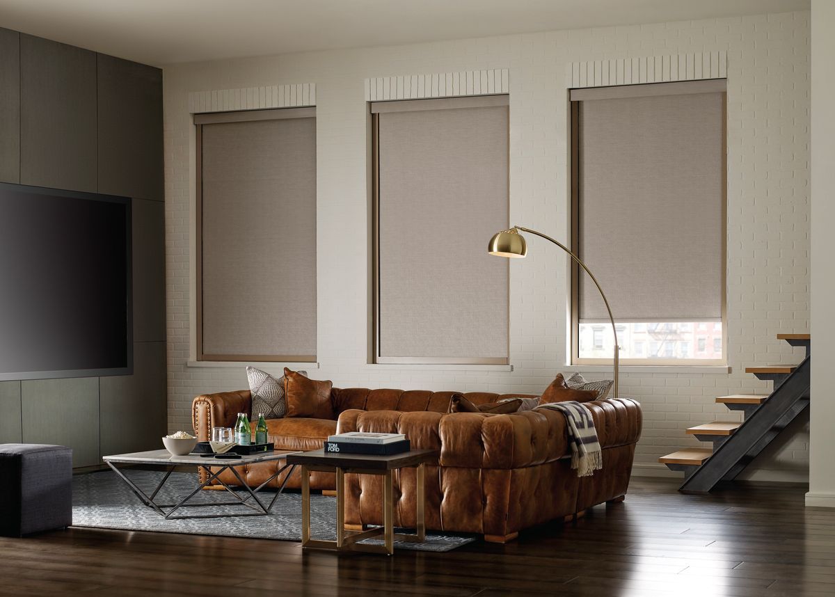Hunter Douglas Designer Roller Shades in living room