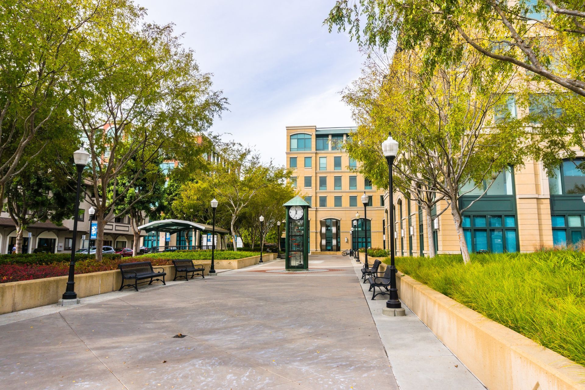 Quiet campus walkway lined with trees, lampposts, benches, and modern buildings in the background