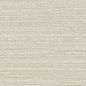 Beige fabric texture with horizontal lines.