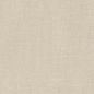 Light beige textured background.