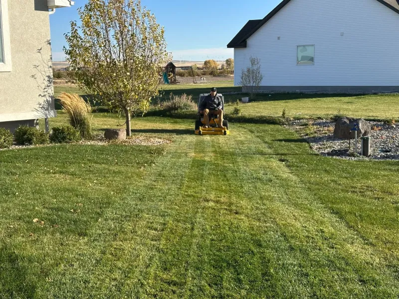 Person mowing a green lawn between two white houses on a sunny day