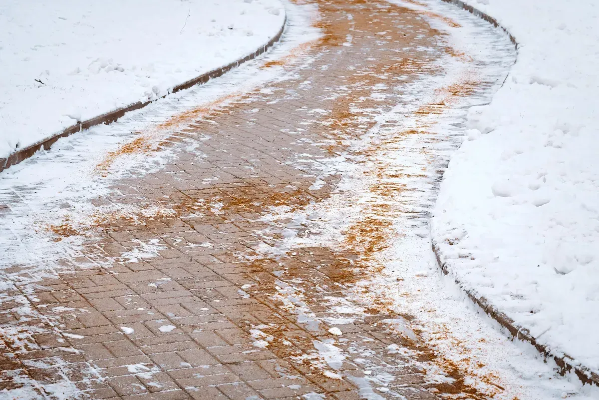 Snow-dusted brick path winding through a white winter landscape