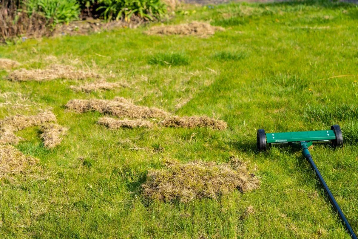 Green lawn with a push mower and scattered piles of cut grass