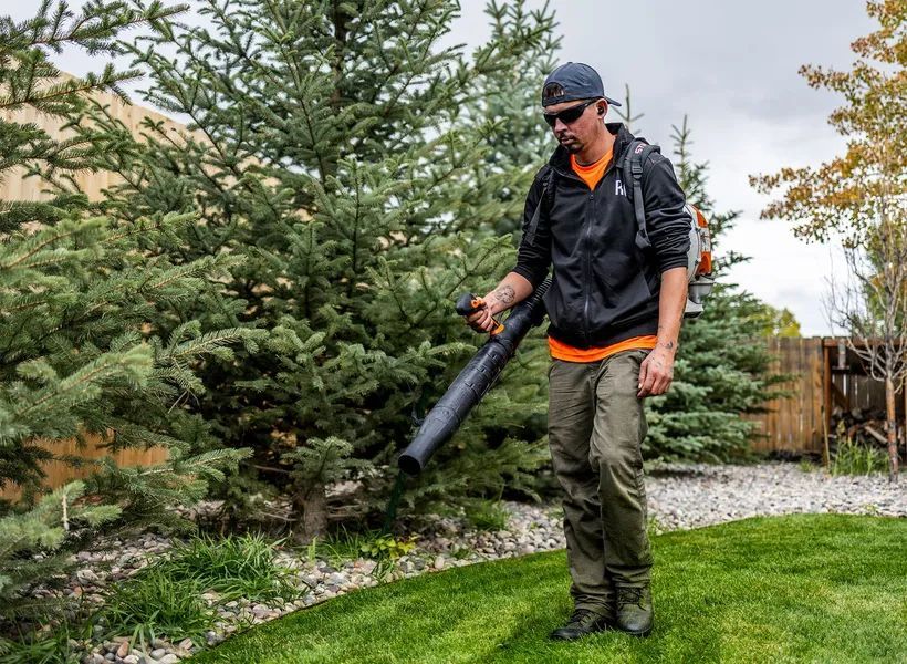 Person using a leaf blower beside evergreen shrubs in a yard