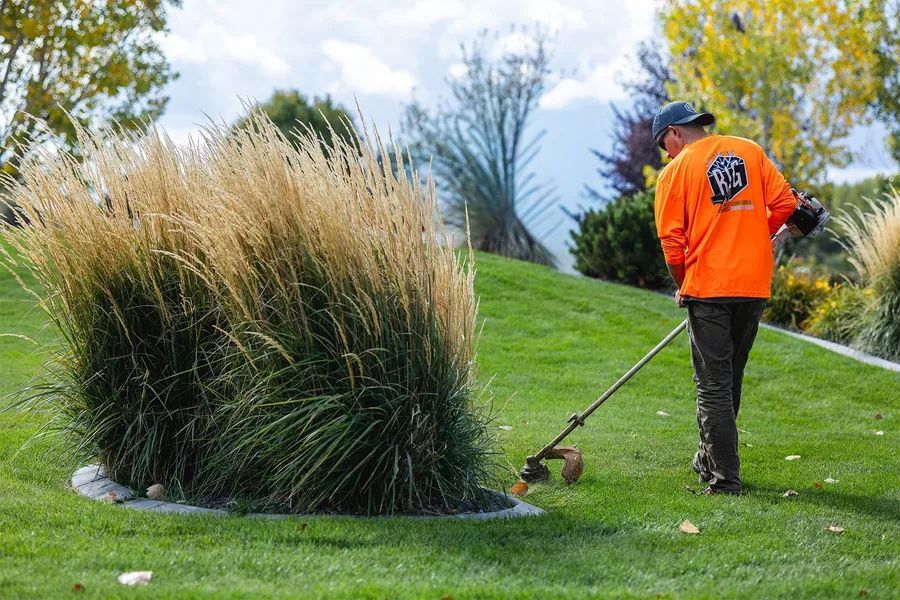 Person in orange shirt using a string trimmer on a grassy lawn near ornamental bushes