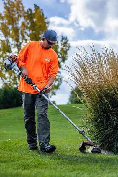 Person using a string trimmer to edge grass beside tall ornamental plants on a lawn
