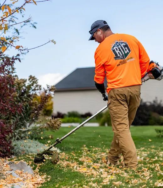 Person in orange shirt using a string trimmer to clear leaves in a yard.