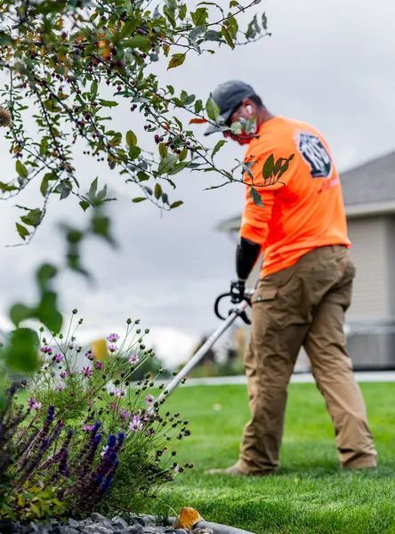 Worker in orange safety gear using a string trimmer near a tree and flower bed in a grassy yard