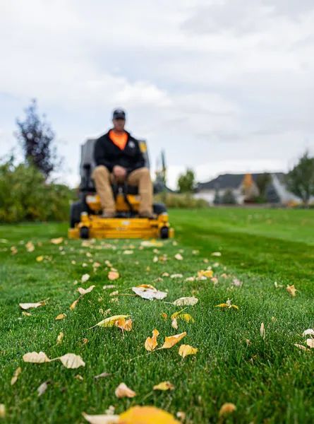 Person mowing a grassy lawn with a yellow riding mower, leaves scattered in the foreground.