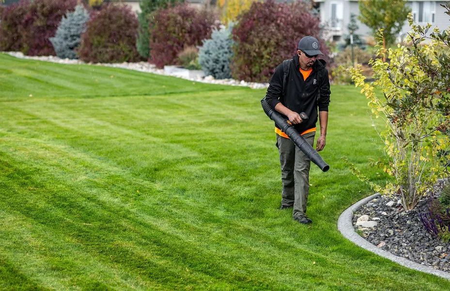 Person using a leaf blower on a manicured lawn beside shrubs and a curved garden border.