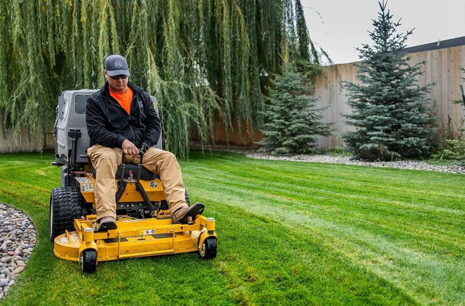 Person mowing a green lawn on a yellow riding mower beside willow trees and evergreens