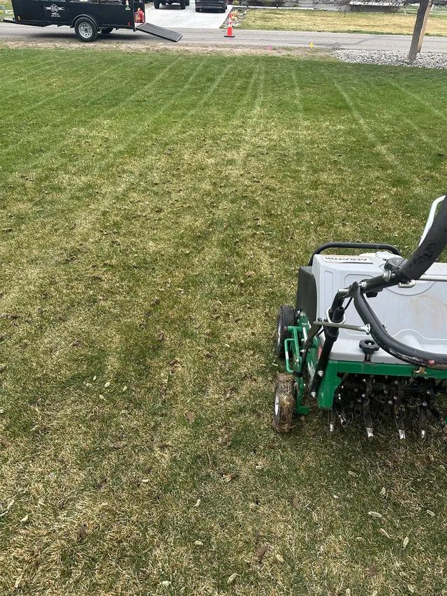 Person mowing a grassy lawn with a push mower, viewed from behind.