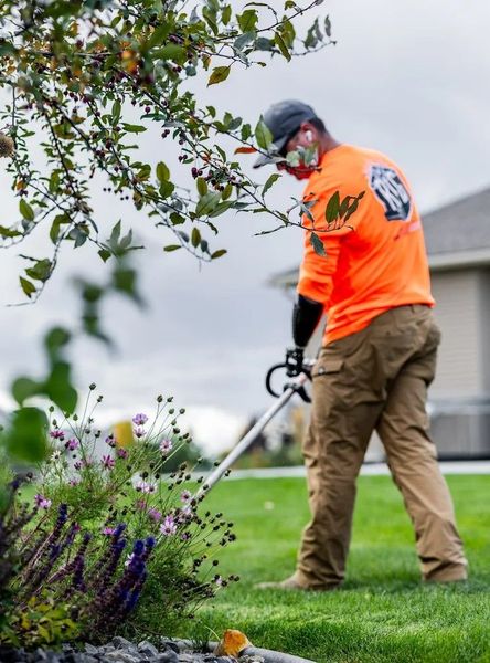Person in orange safety vest trimming a tree branch in a grassy yard