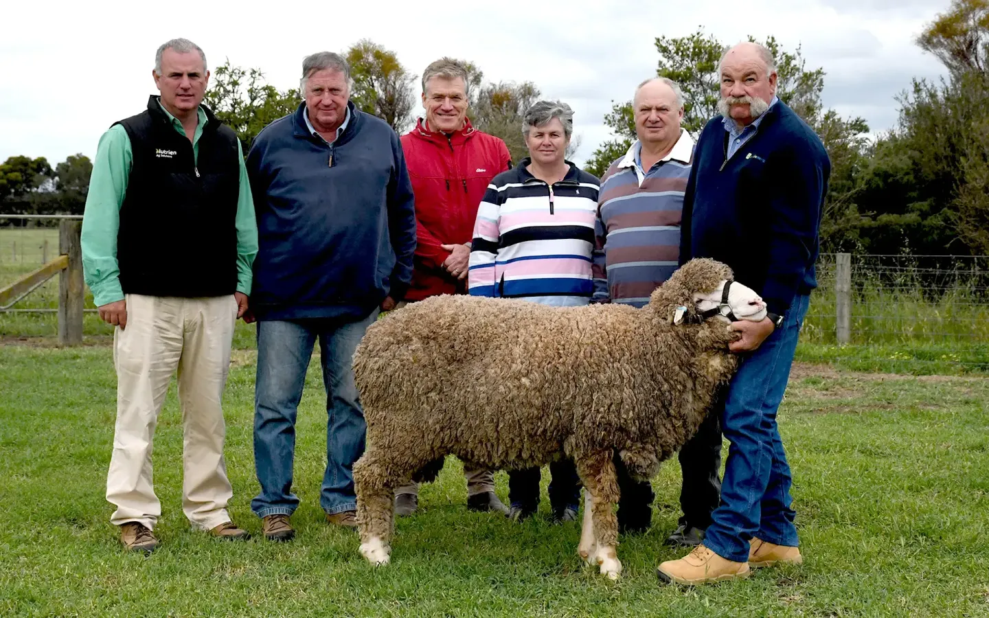 Coryule Merinos Sale Day 2025