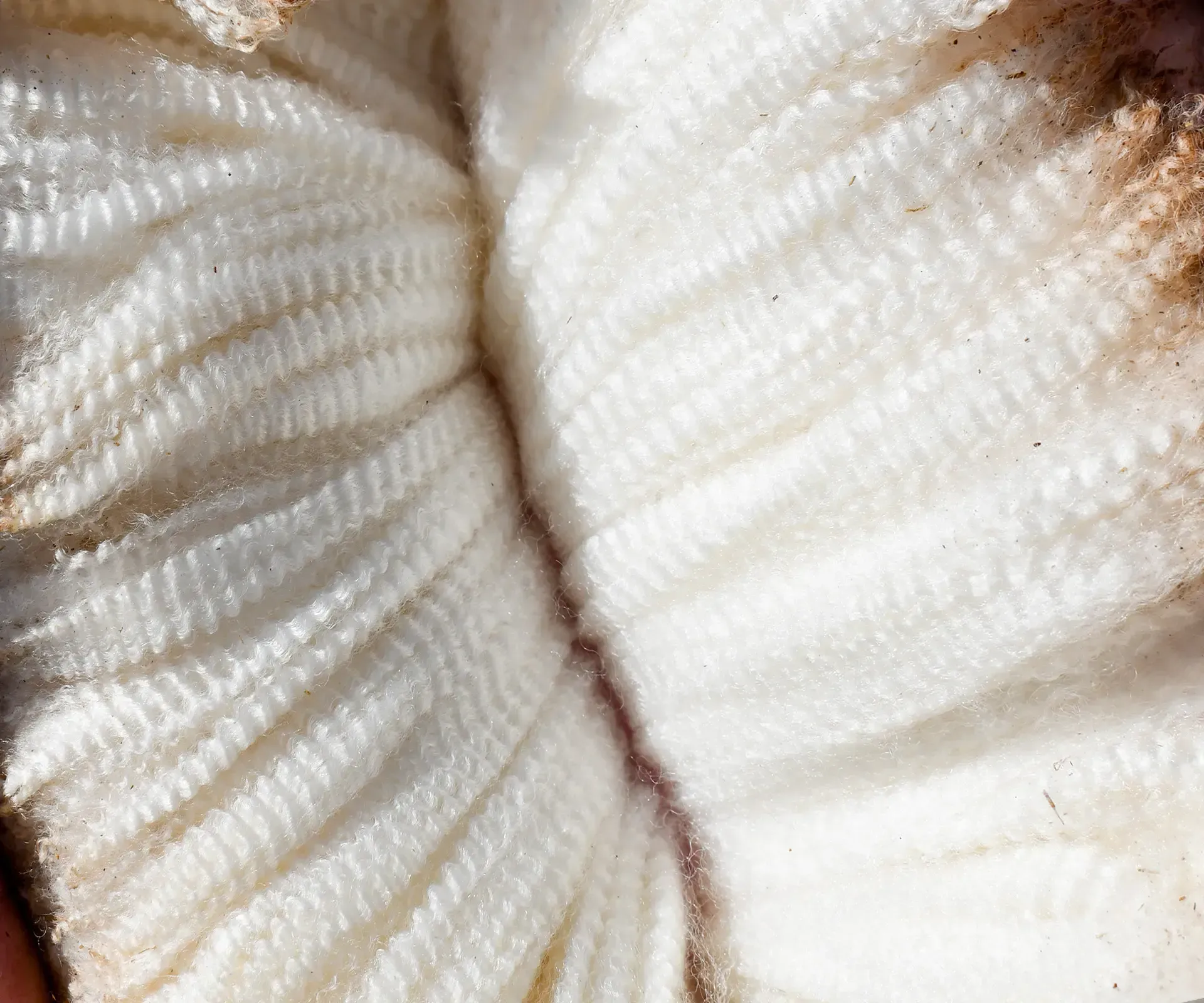 Coryule-Merinos-On-Farm-Ram-Sale-2026