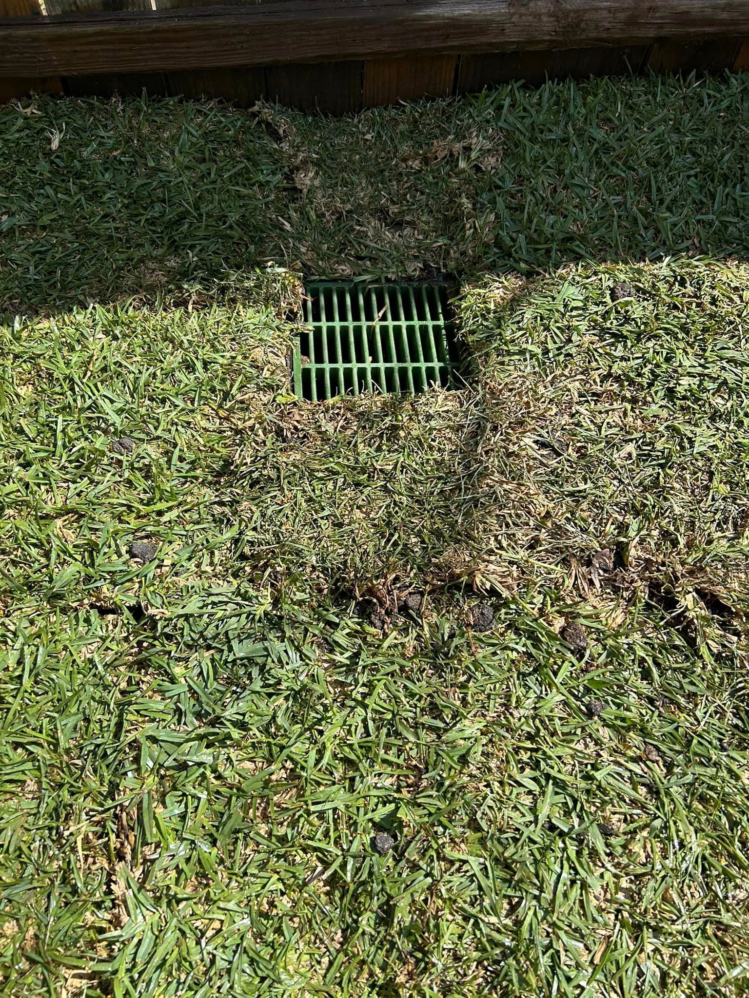 A Drain Is Sitting in The Middle of A Lush Green Lawn - Collinsville, TX - L5 Irrigation