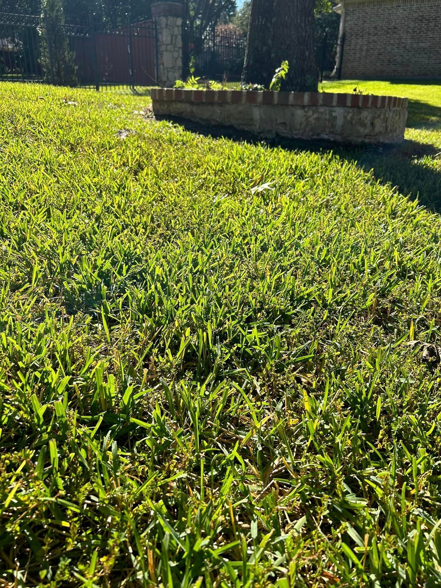 A Lush Green Field of Grass with A Stone Wall in The Background - Collinsville, TX - L5 Irrigation