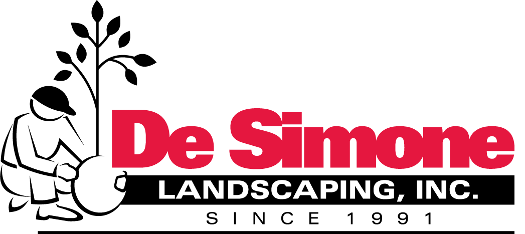 The logo for de simone landscaping inc. since 1991