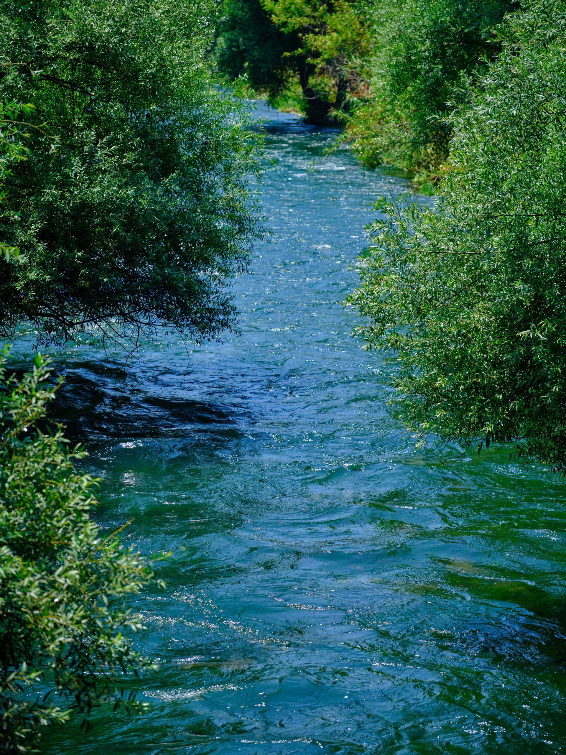 Narrow blue river flowing through dense green trees and vegetation