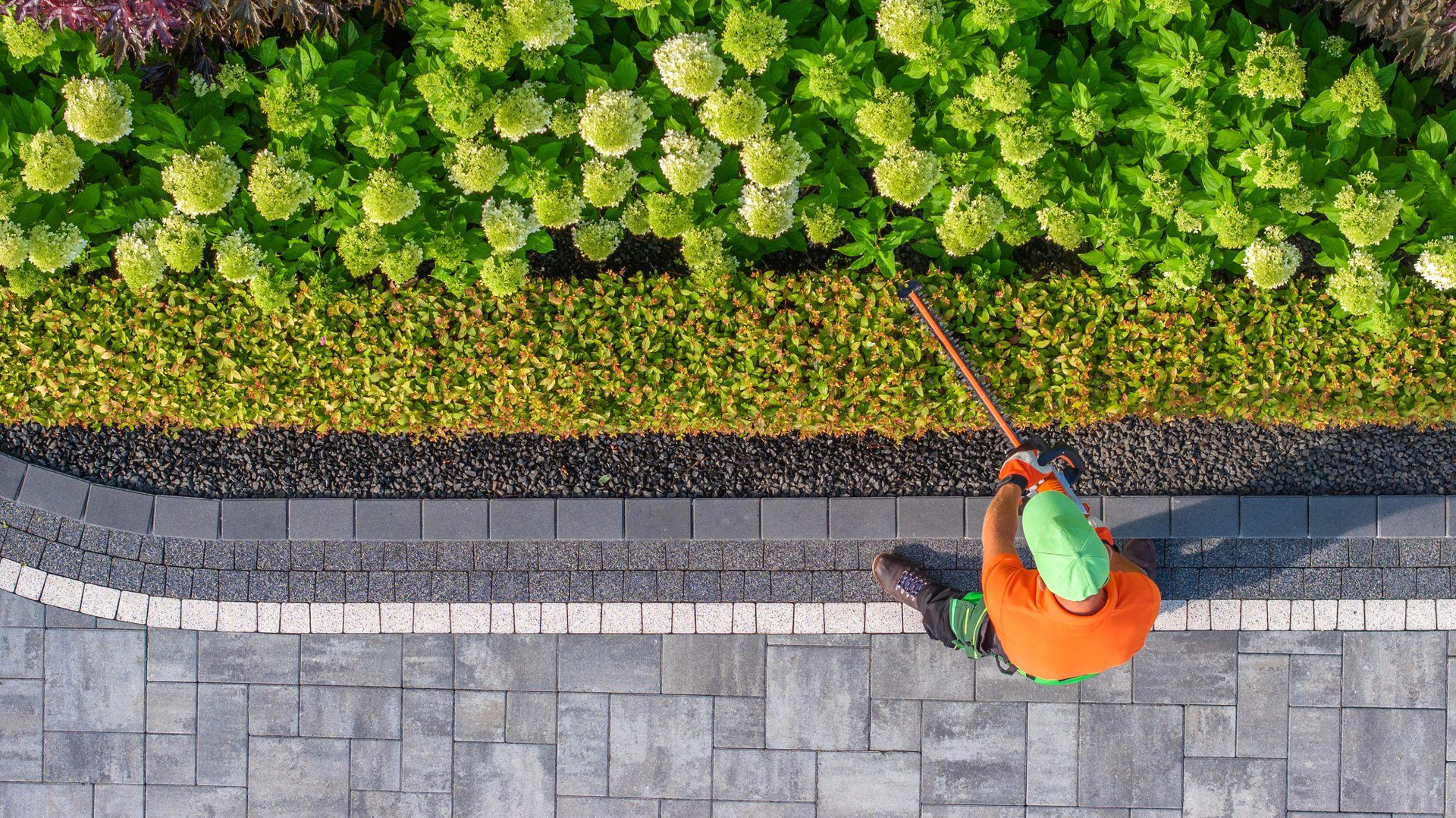 Prevent Overgrown Yards: Scheduled Maintenance for Wausau Homes