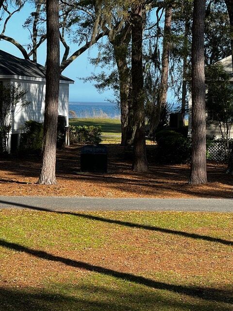 A view of the ocean is visible through the trees