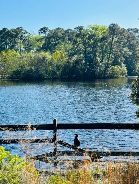 A bird perched on a wooden fence overlooking a lake