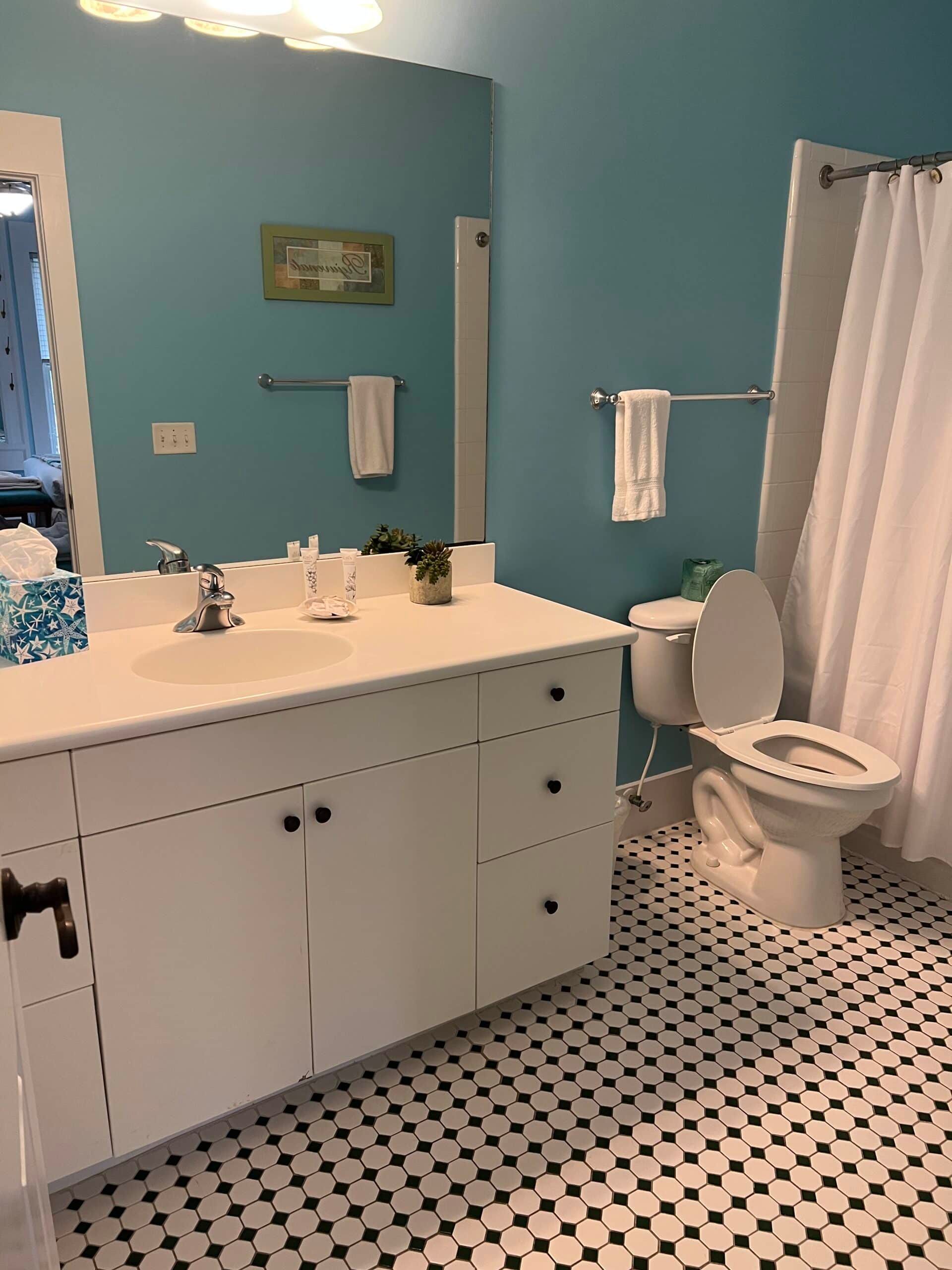 A bathroom with a sink , toilet , shower and mirror.