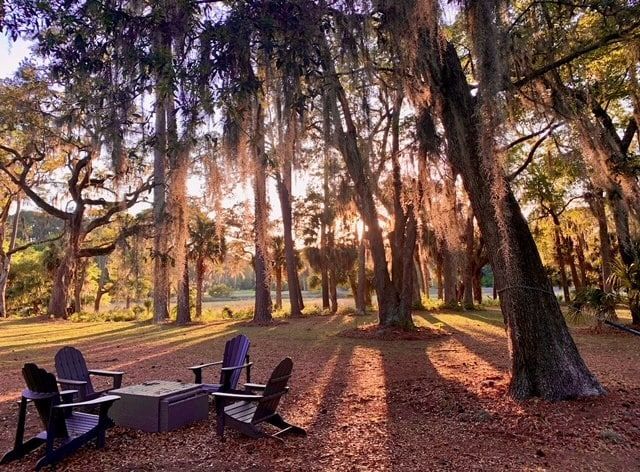A group of chairs are sitting in the middle of a forest.