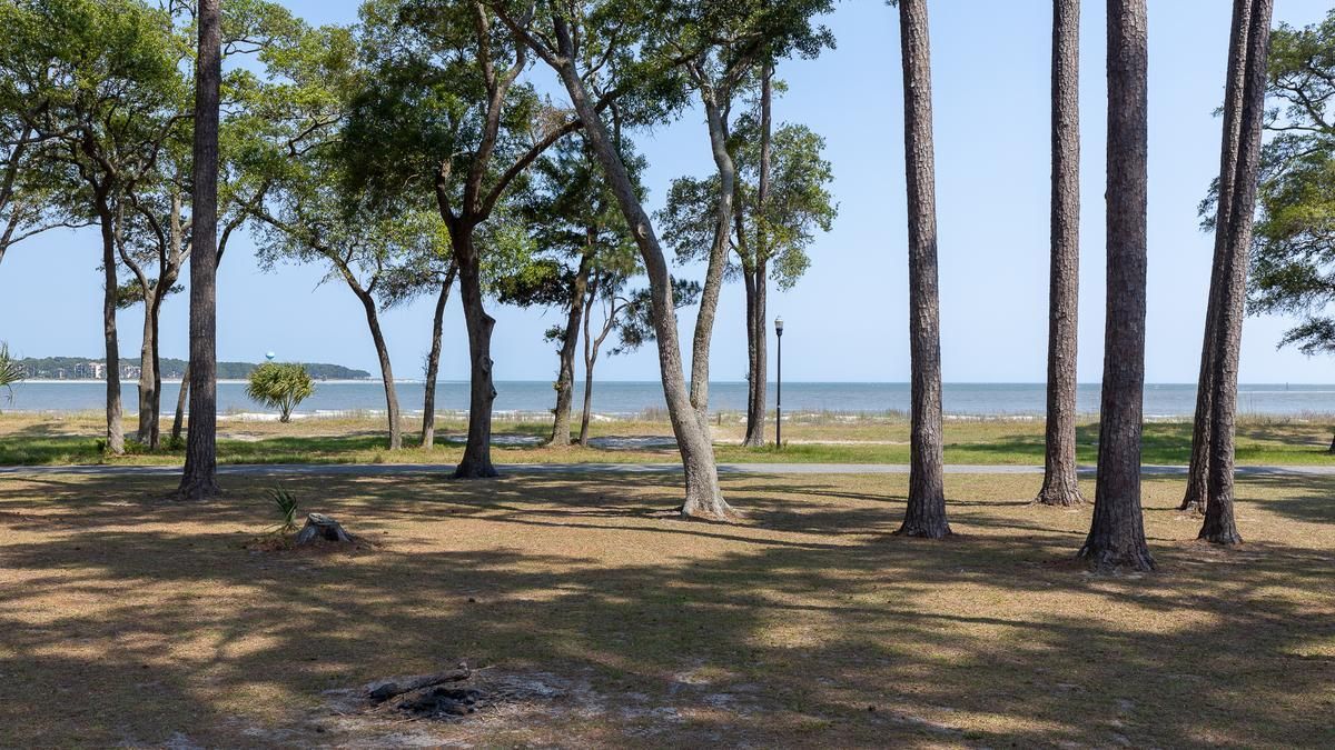 A row of trees in a field with a view of the ocean.