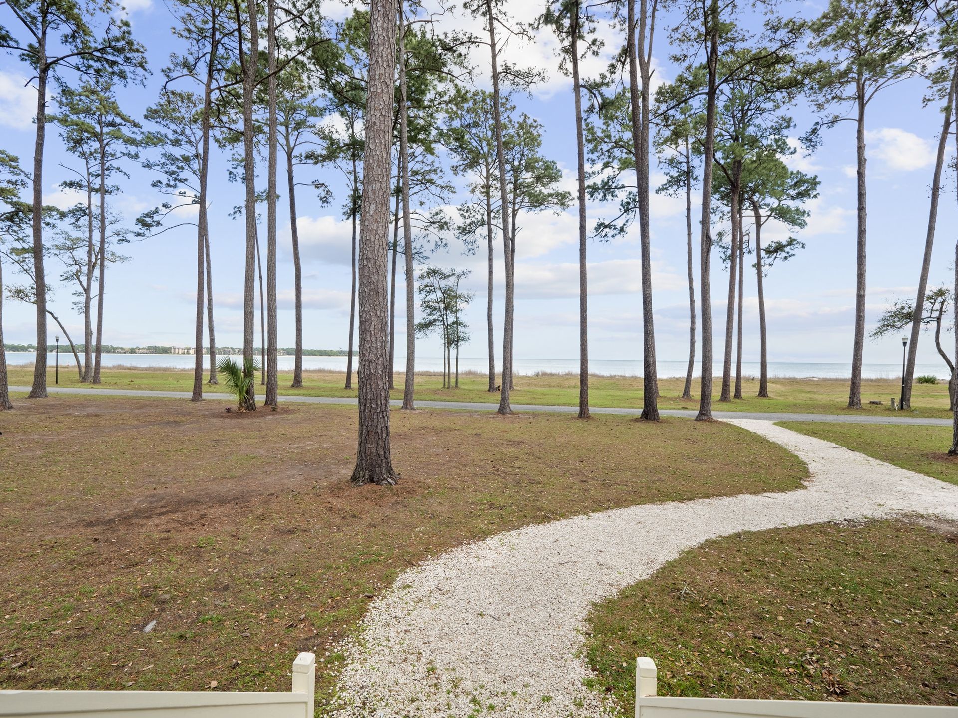 A path leading to a lake surrounded by trees
