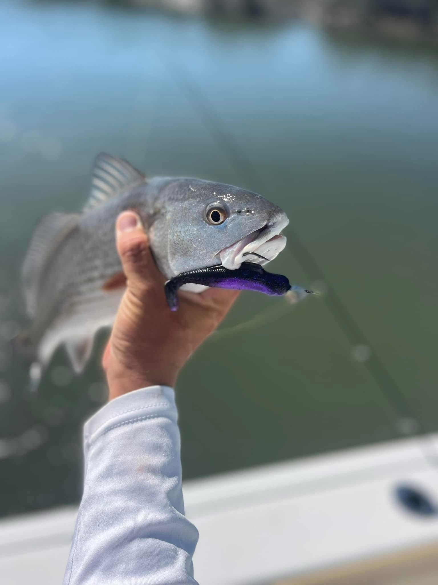 A person is holding a fish in their hand in front of a body of water.