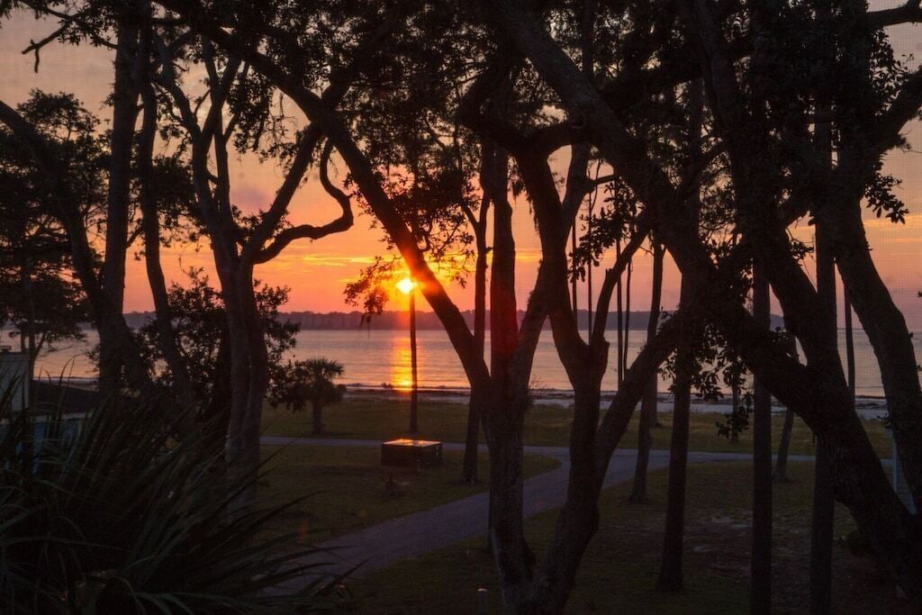 The sun is shining through the trees over the water