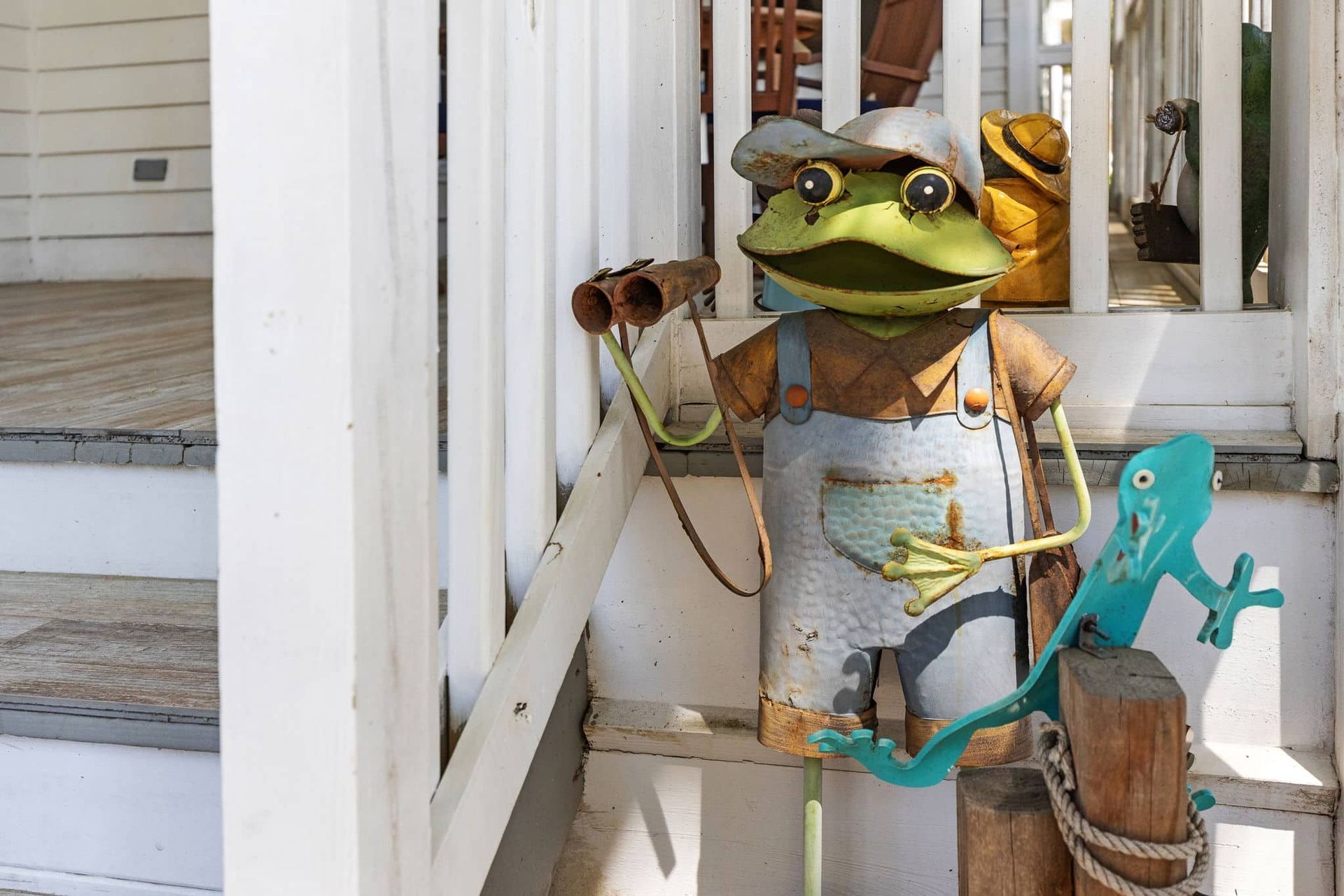 A frog with binoculars is sitting on a porch next to a lizard.
