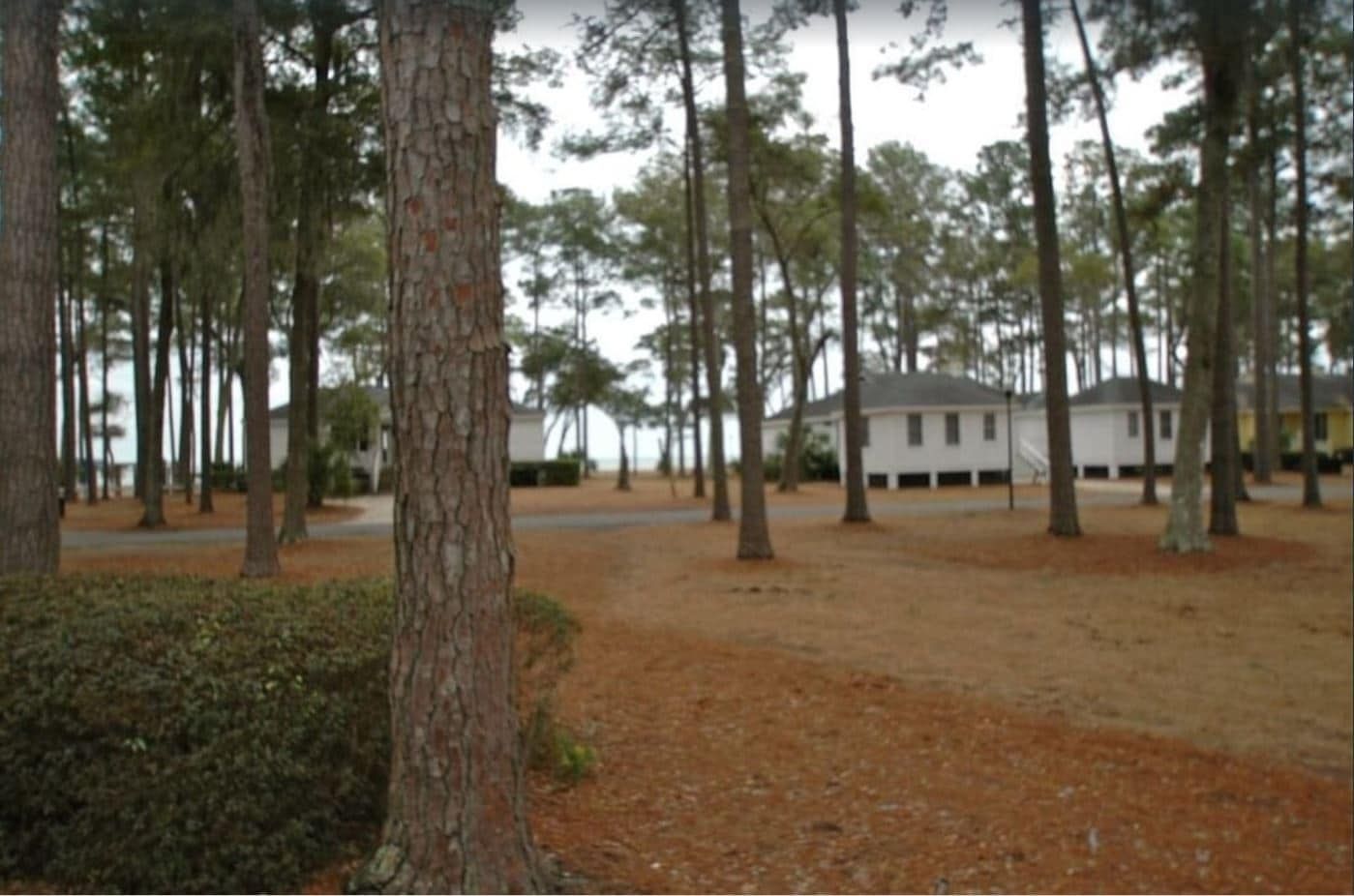 A house sits in the middle of a forest