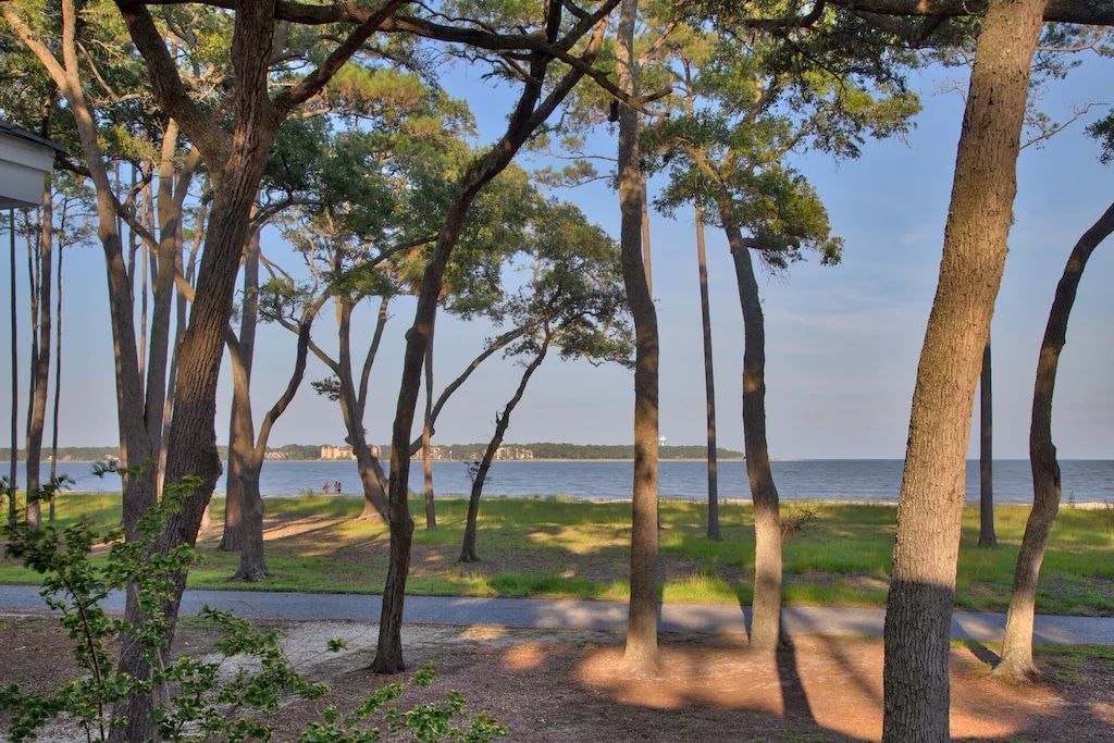 A view of a lake through a grove of trees