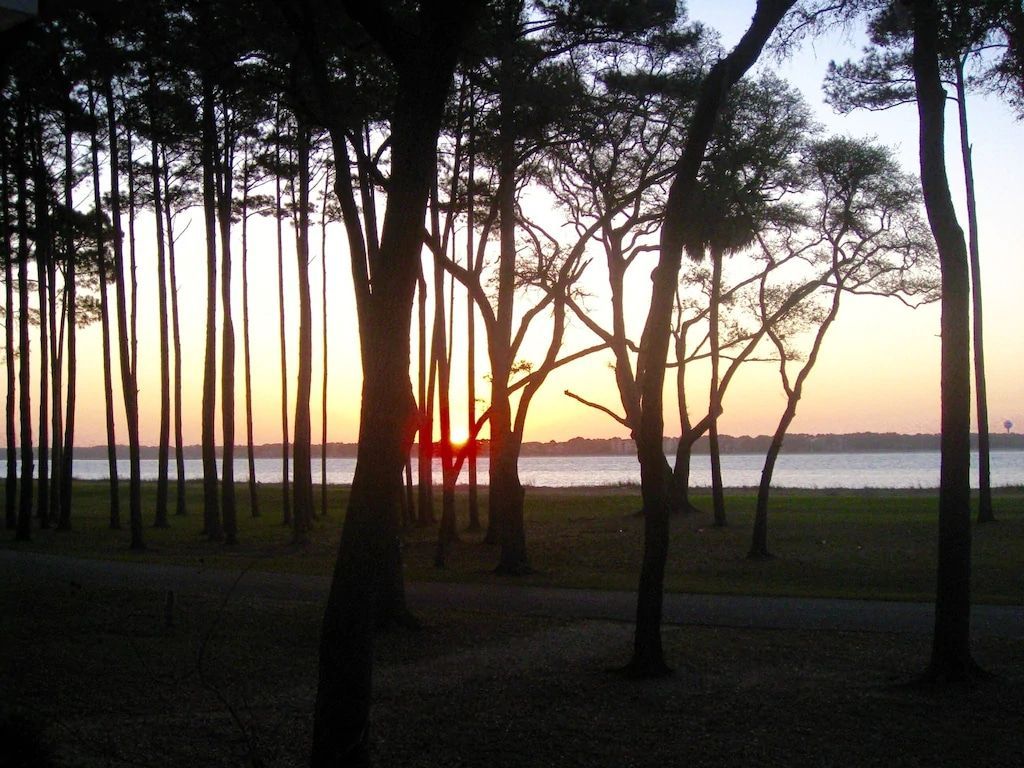 A sunset over a body of water with trees in the foreground