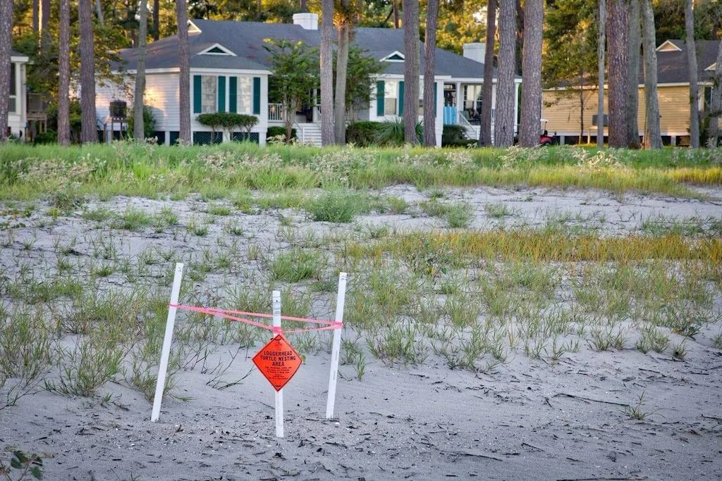 A dirt field with a house in the background and a red sign in the foreground.