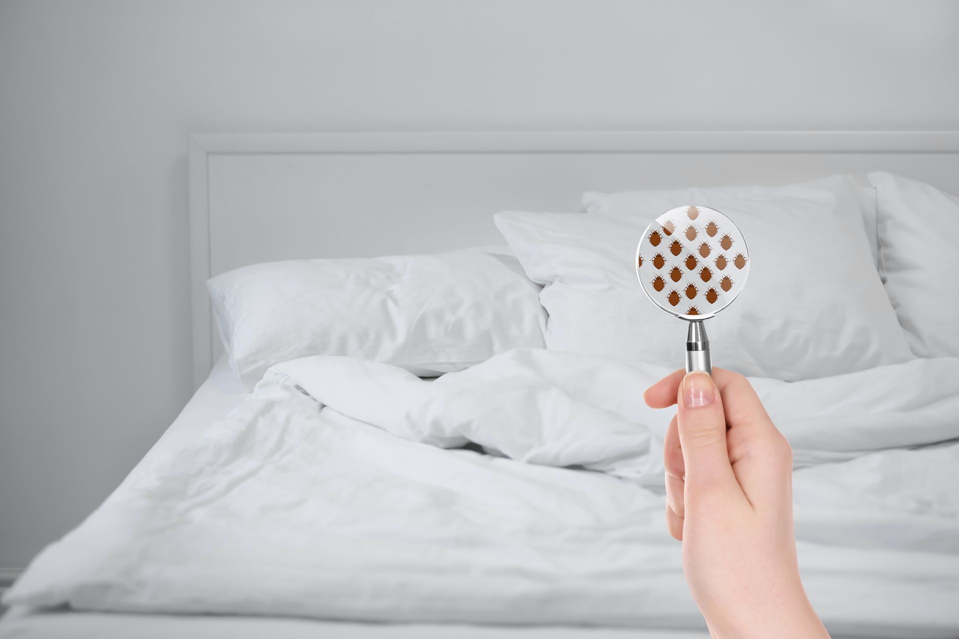 Woman with magnifying glass detecting bed bugs in bedroom