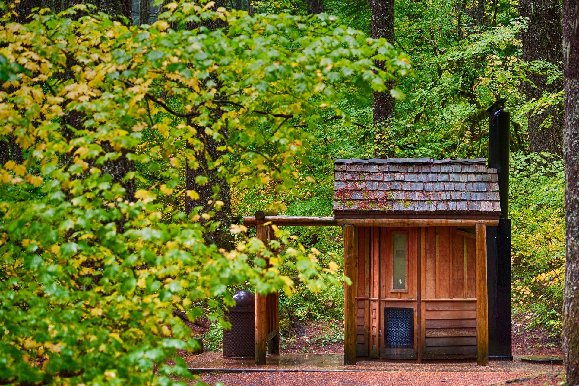 A public outhouse sits alongside the McKenzie Pass scenic highway amongst autumn turning leaves on trees and shrubs.