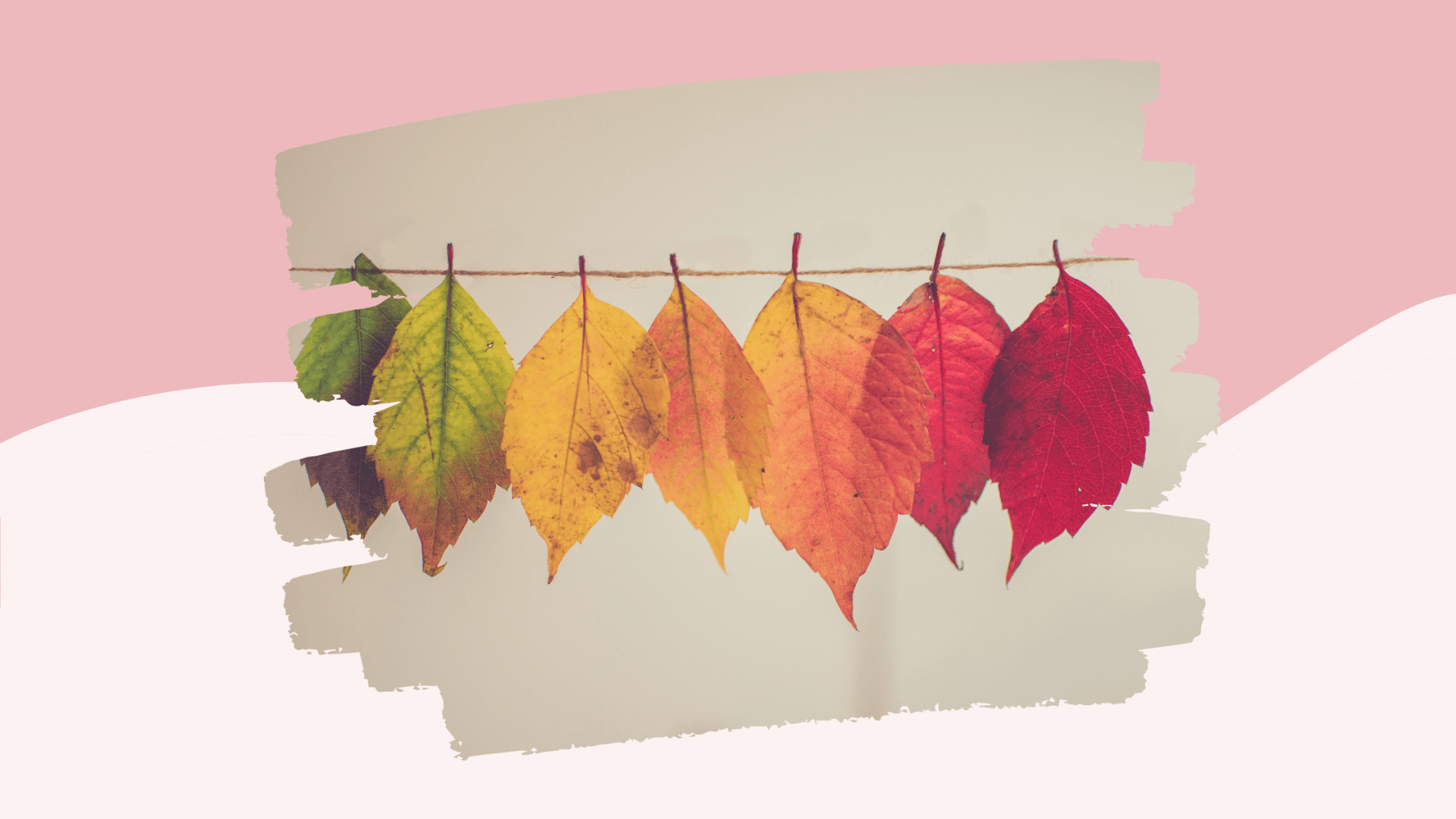 Ayurveda in Körper und Geist im Herbst