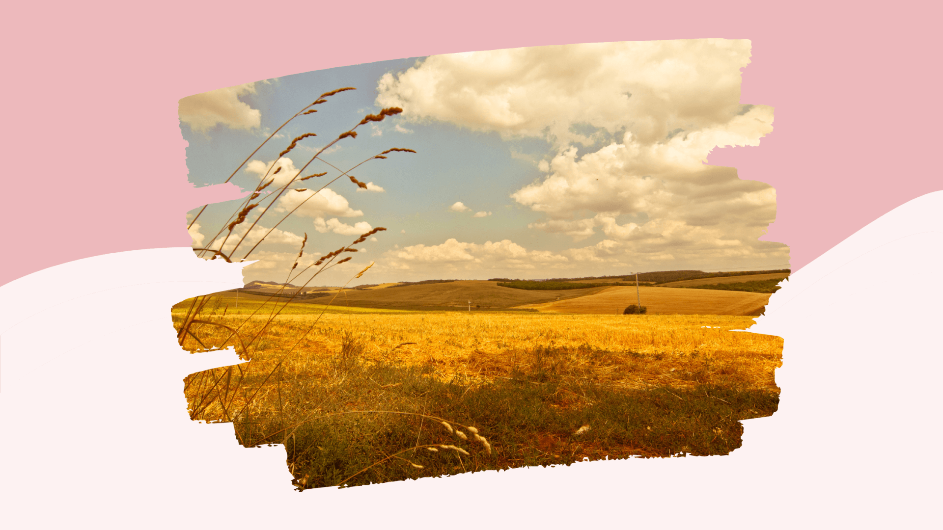 Bye bye Sommer, hello Herbst! Tipps für Ernährung und Lifestyle im Spätsommer