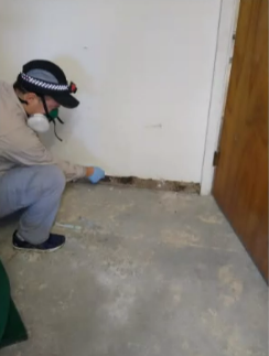David Dolch — Raleigh, NC — Certified Indoor Air
