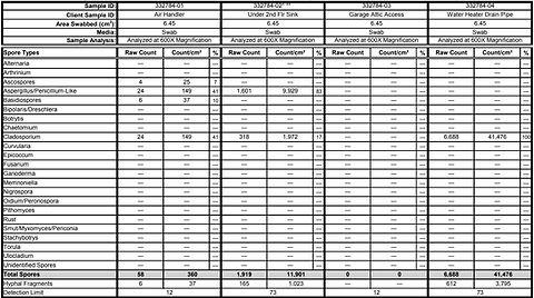 Mold Inspection Report — Raleigh, NC — Certified Indoor Air
