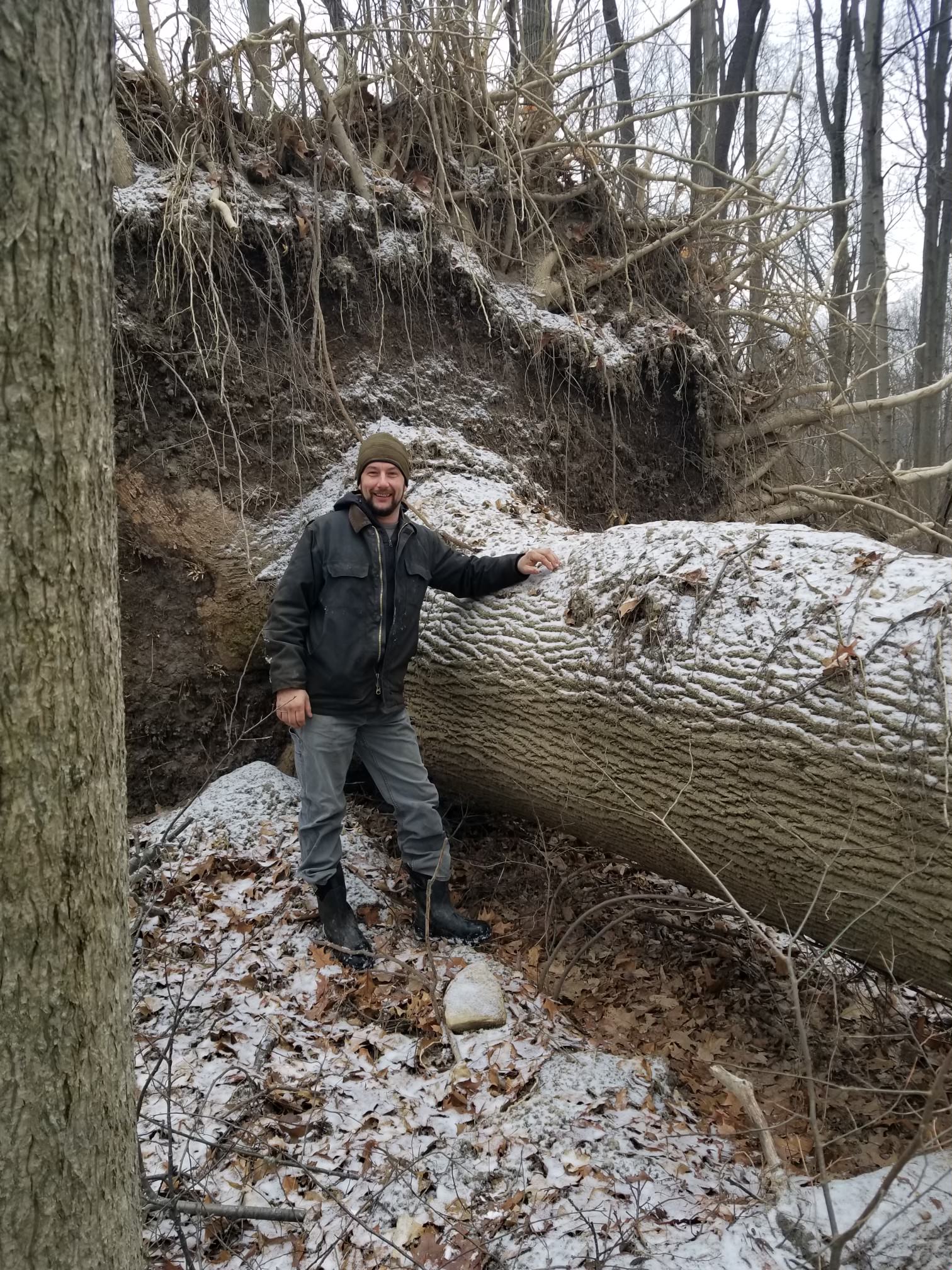 Noble county, oh, southern ohio timber, Fred Miller Timber Management Services Forest Management