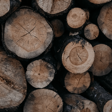 Alfred Miller |Timber Management Services | Logging | Investing In Land | Wildlife Ohio